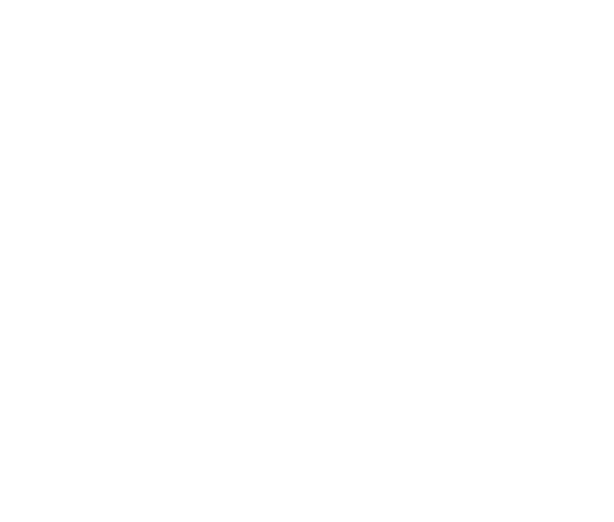 Dynamic Disc